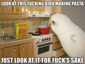 bird_pasta2